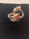 Aretes Queen